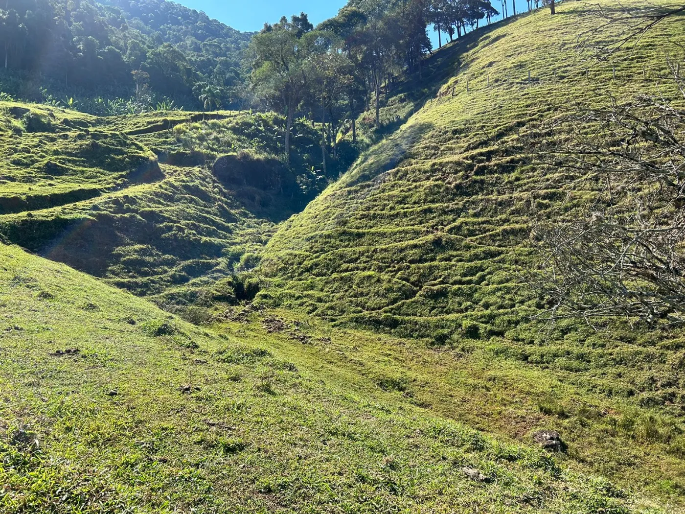 Foto 33 de Rural Fazenda em São Francisco Xavier, São José dos Campos - imagem 33