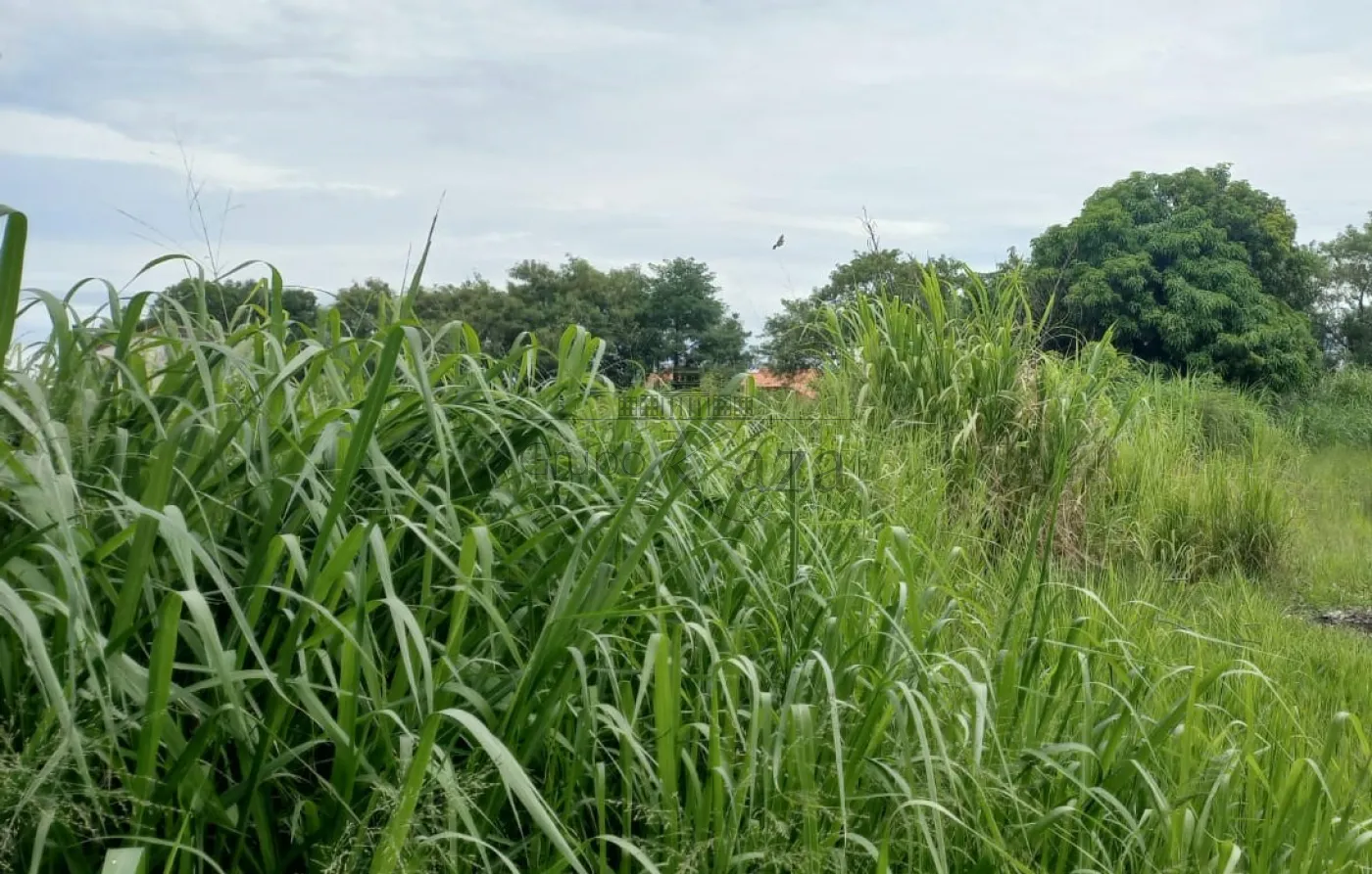 Foto 4 de Área ComercialResidencial em São João, Jacareí - imagem 4