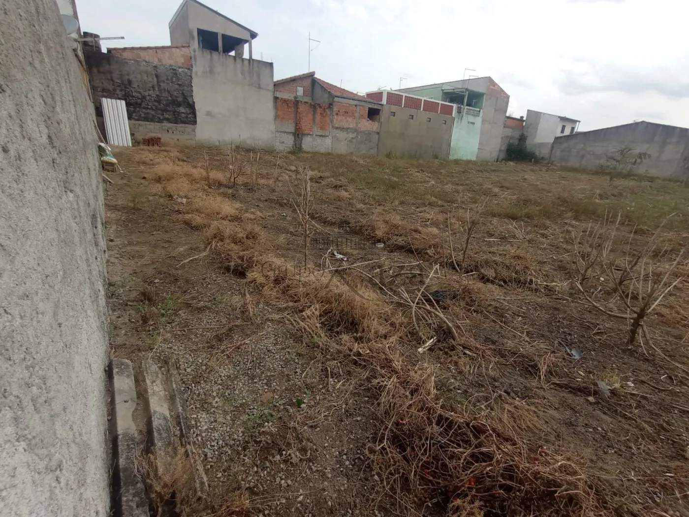 Foto 5 de Terreno Padrão em Conjunto Residencial Galo Branco, São José dos Campos - imagem 5