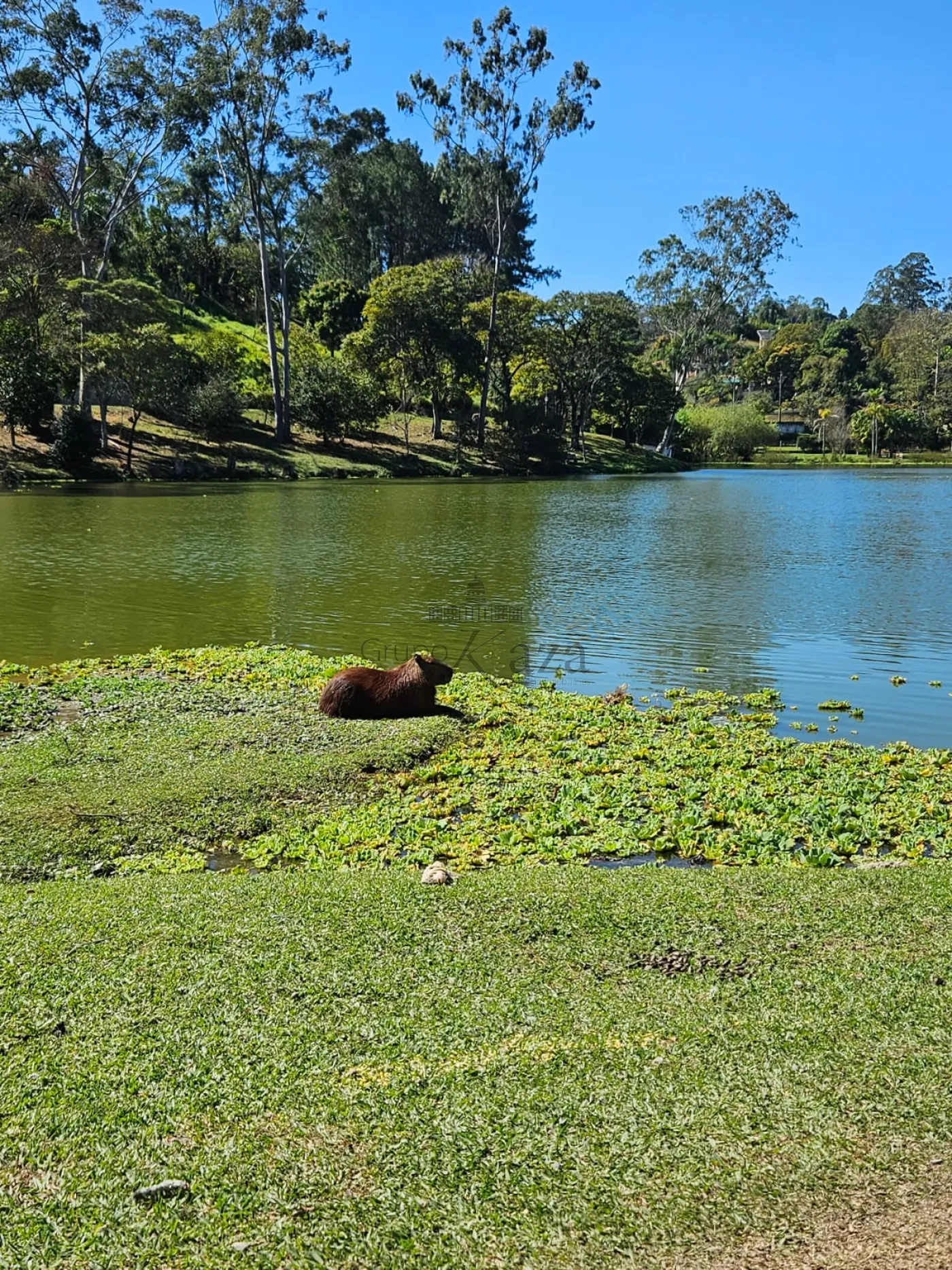 Foto 18 de Casa Condomínio em Condomínio Lagoinha, Jacareí - imagem 18