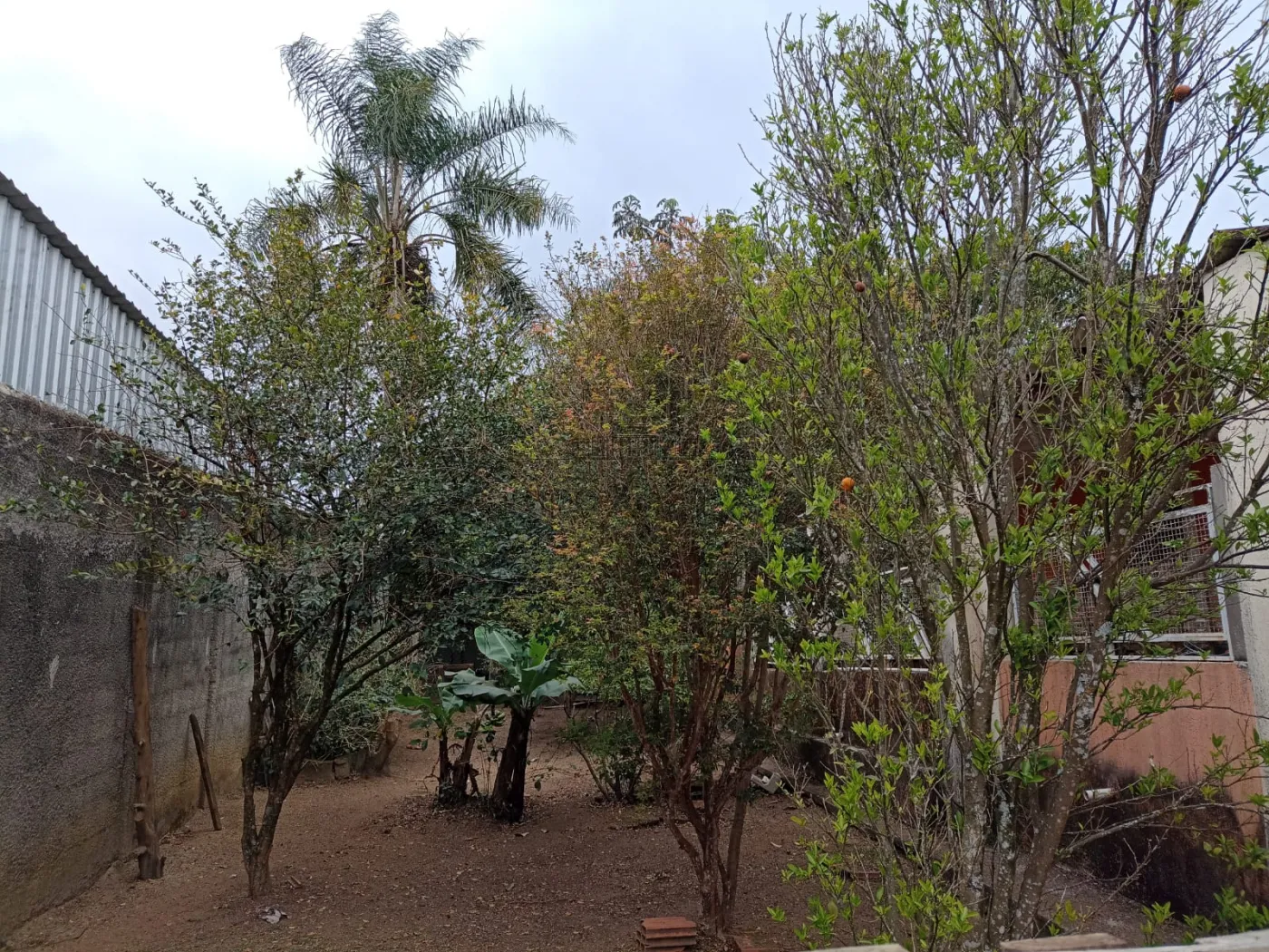 Foto 18 de Rural Chácara em Chácaras Santa Maria, Jacareí - imagem 18