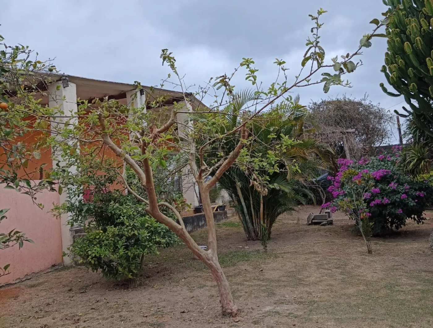 Foto 21 de Rural Chácara em Chácaras Santa Maria, Jacareí - imagem 21