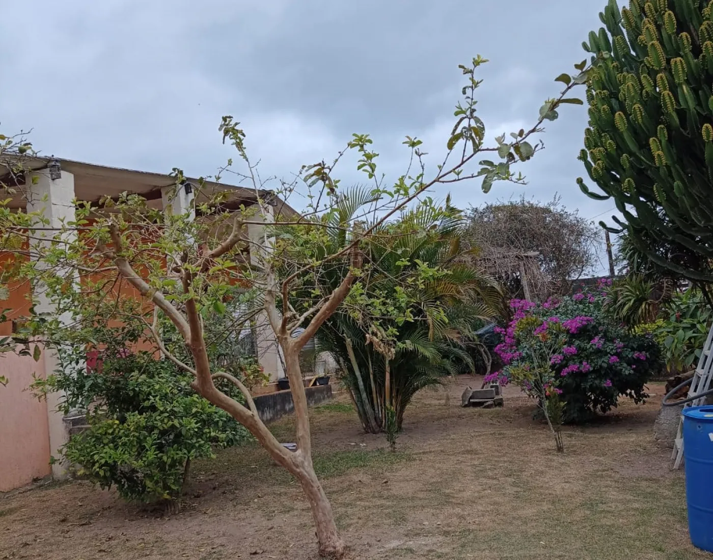 Foto 20 de Rural Chácara em Chácaras Santa Maria, Jacareí - imagem 20