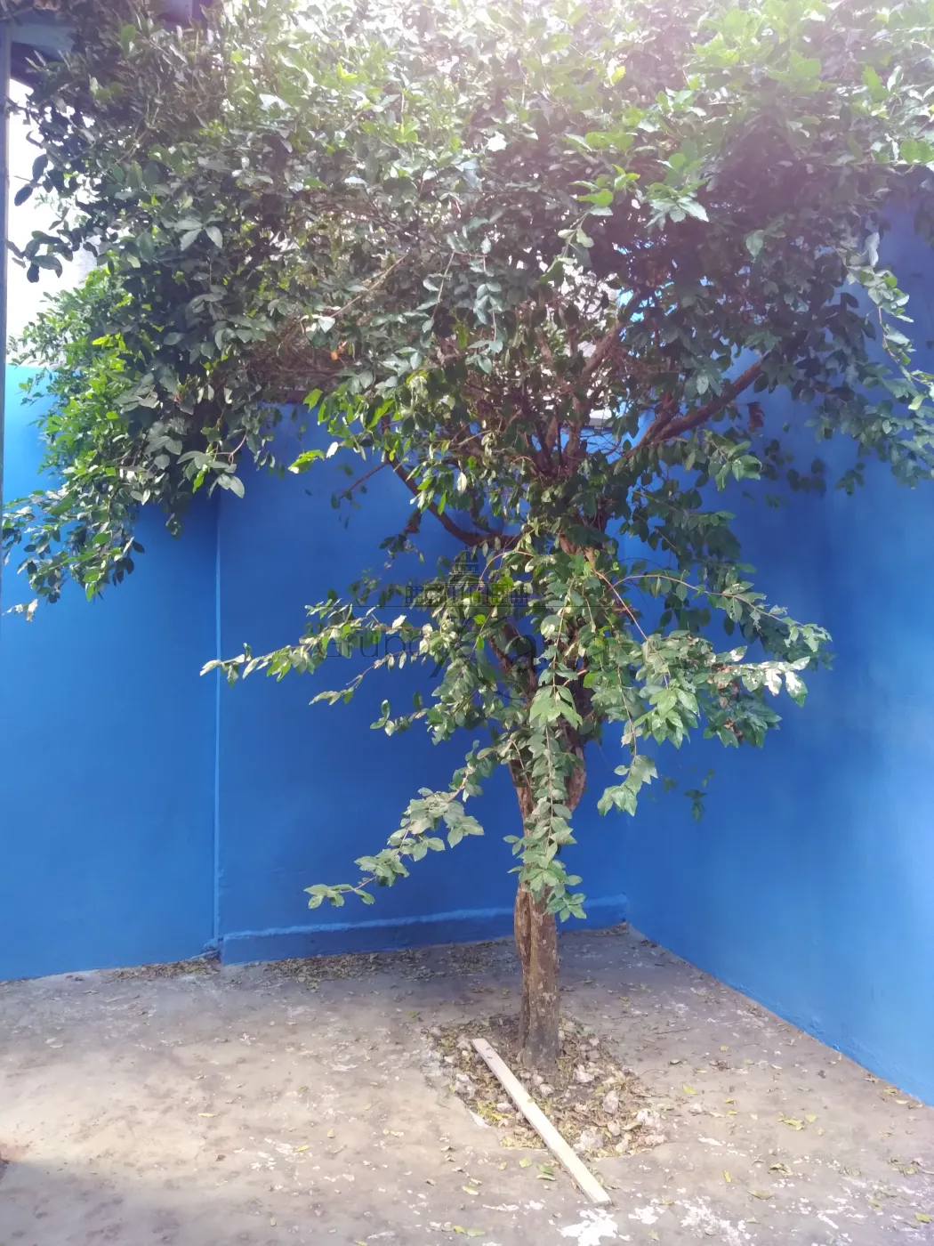 Foto 18 de Casa Padrão em Jardim República, São José dos Campos - imagem 18