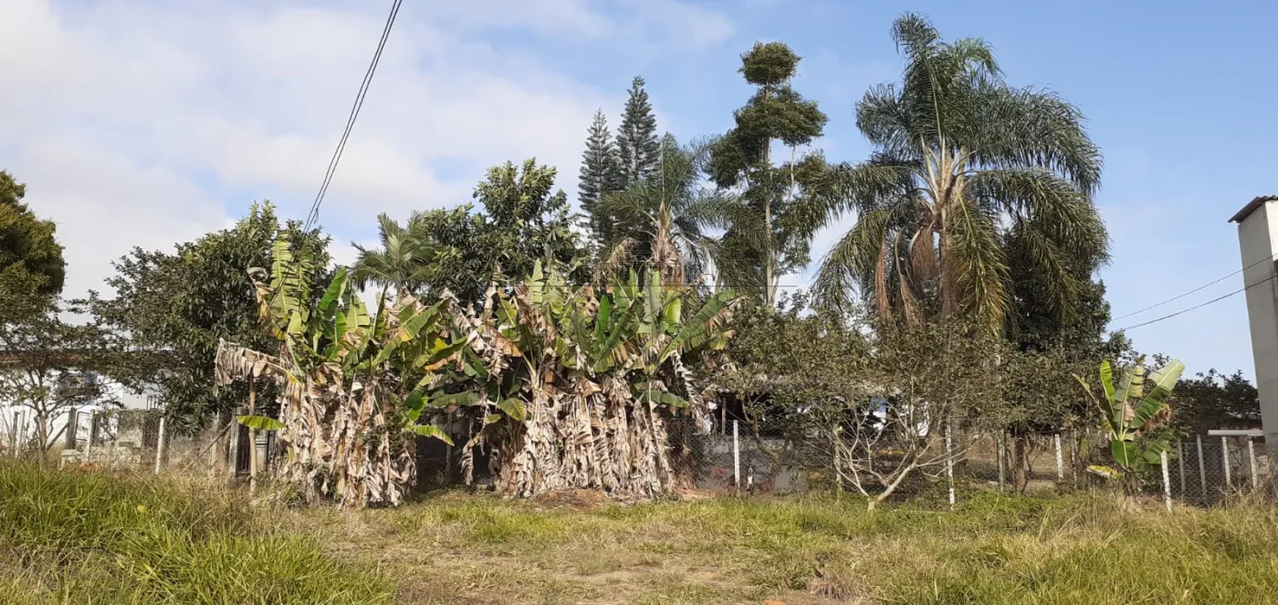 Foto 2 de Terreno Padrão em Tijuco Preto, Caçapava - imagem 2