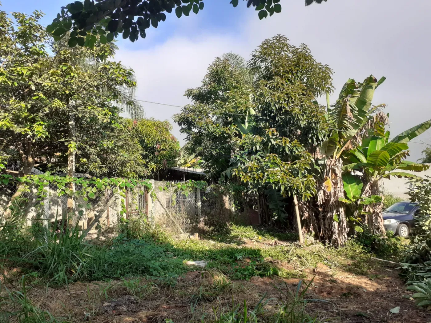 Foto 3 de Terreno Padrão em Tijuco Preto, Caçapava - imagem 3