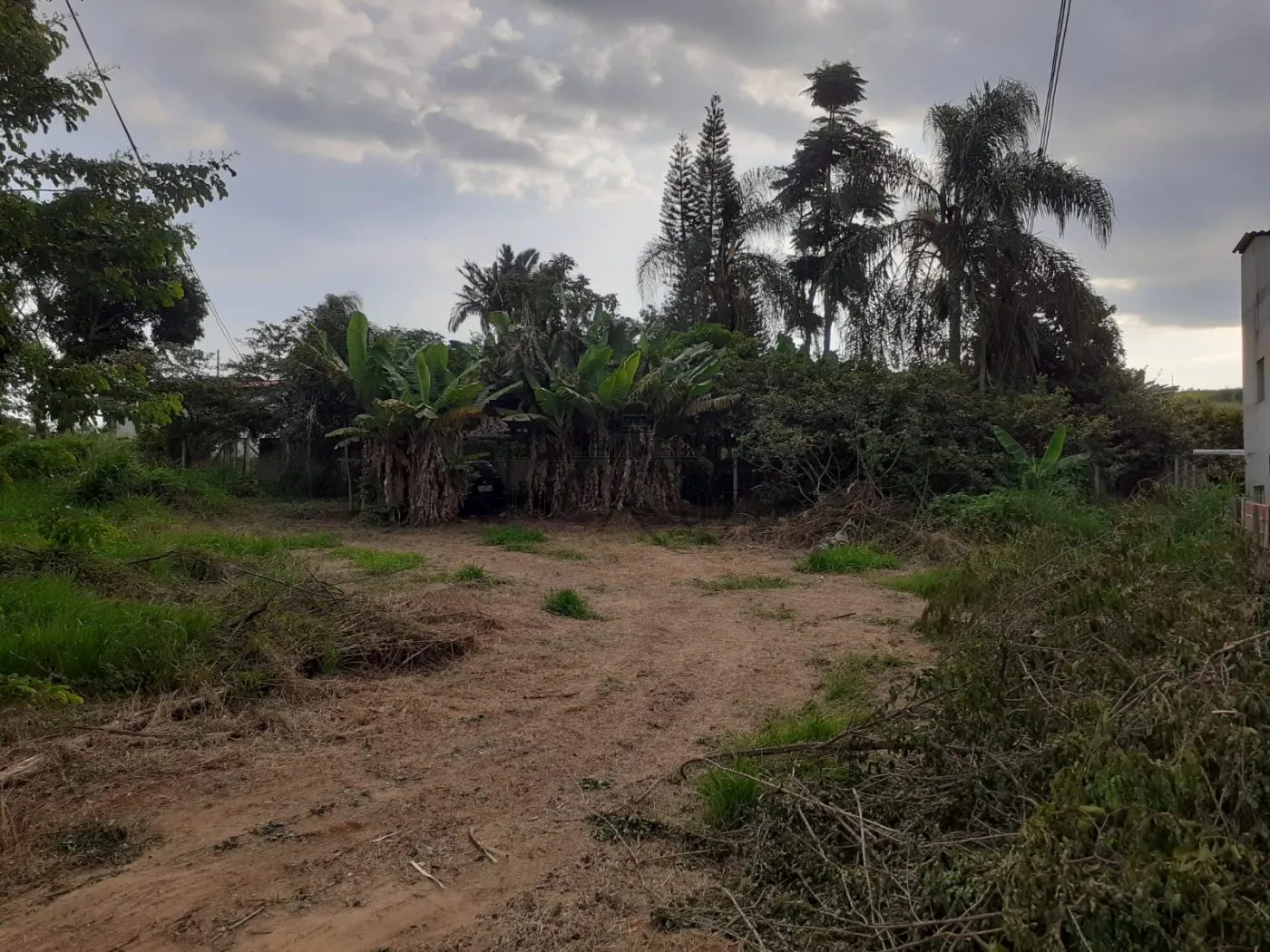 Foto 8 de Terreno Padrão em Tijuco Preto, Caçapava - imagem 8