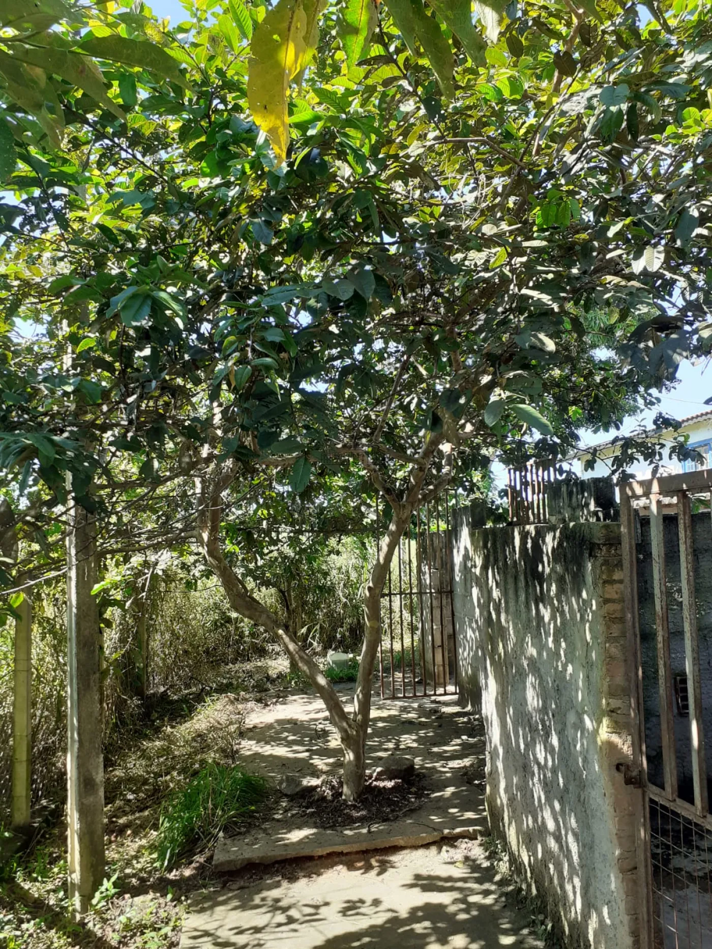 Foto 14 de Terreno Padrão em Tijuco Preto, Caçapava - imagem 14