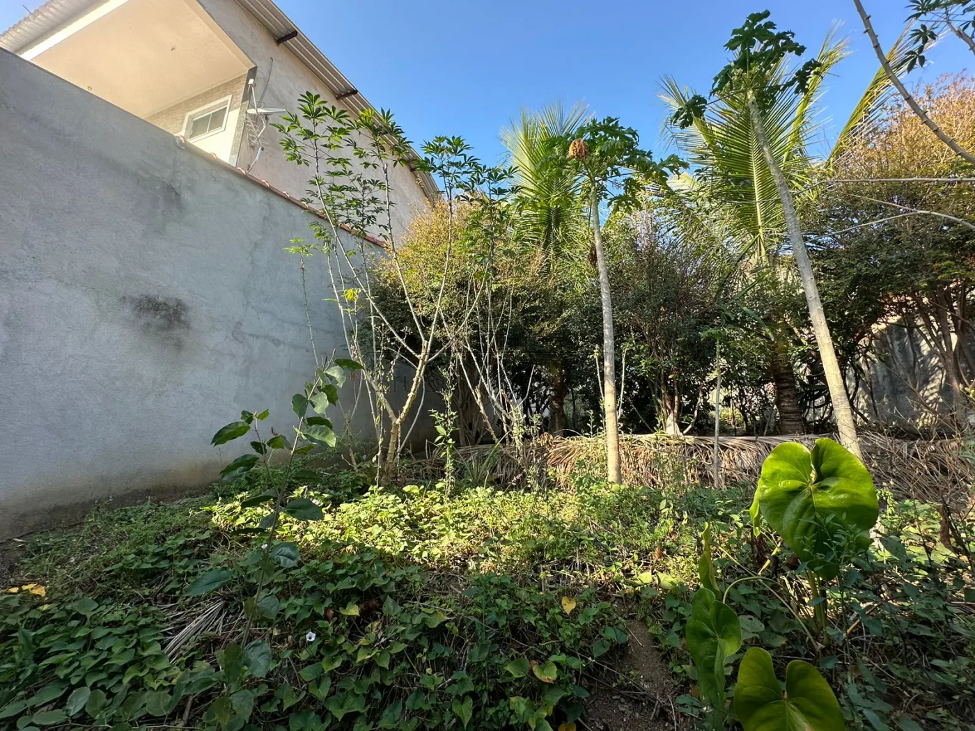 Foto 5 de Terreno Padrão em Jardim Terras de São João, Jacareí - imagem 5