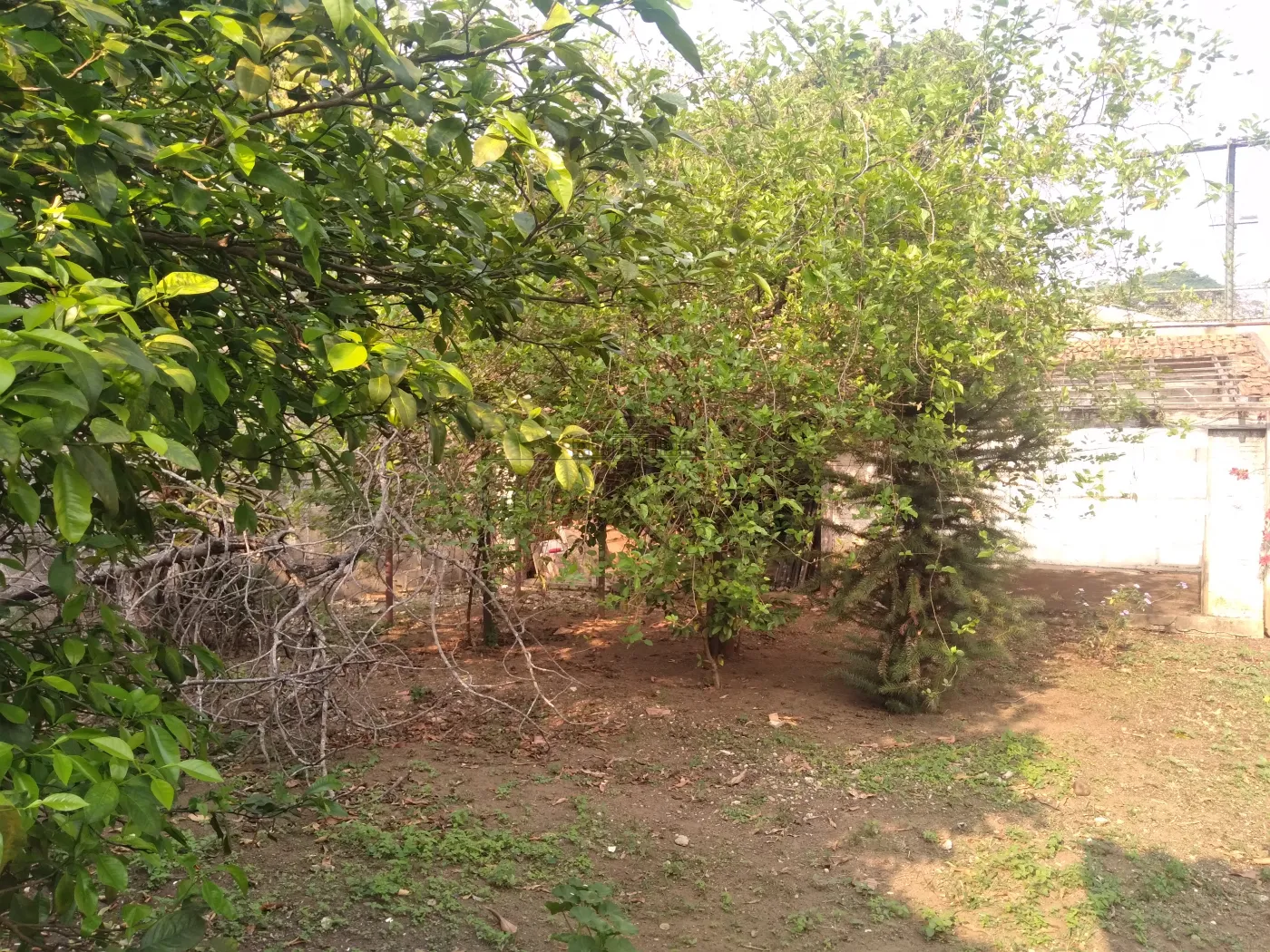 Foto 33 de Casa Comercial  Residencial em Vila Ema, São José dos Campos - imagem 33