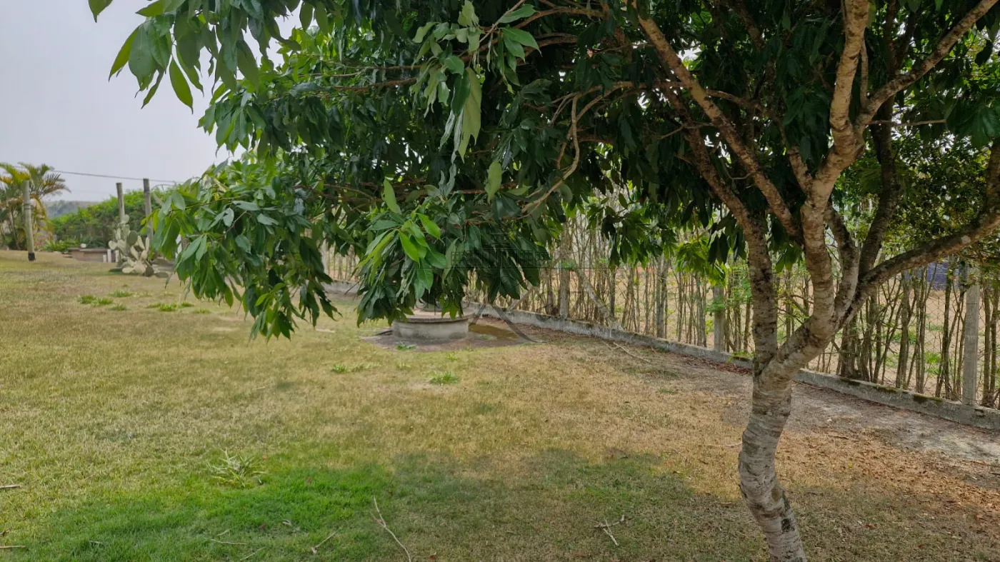 Foto 38 de Rural Chácara em Veraneio Irajá, Jacareí - imagem 38