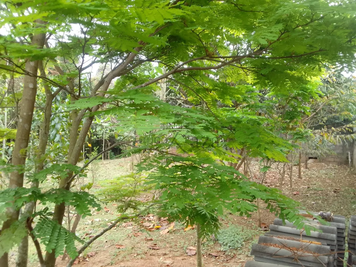 Foto 29 de Casa Padrão em Alto da Ponte, São José dos Campos - imagem 29