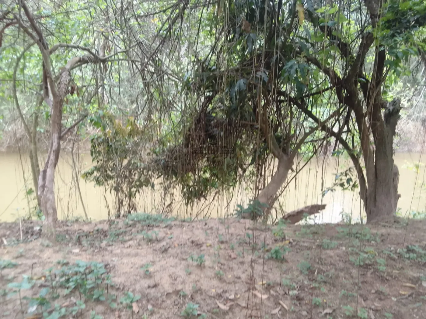 Foto 32 de Casa Padrão em Alto da Ponte, São José dos Campos - imagem 32