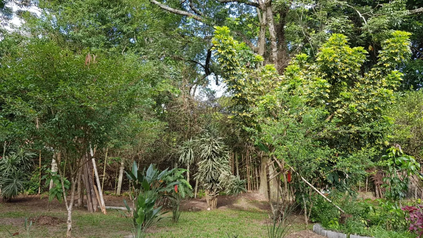 Foto 20 de Rural Chácara em Chácaras São José, São José dos Campos - imagem 20
