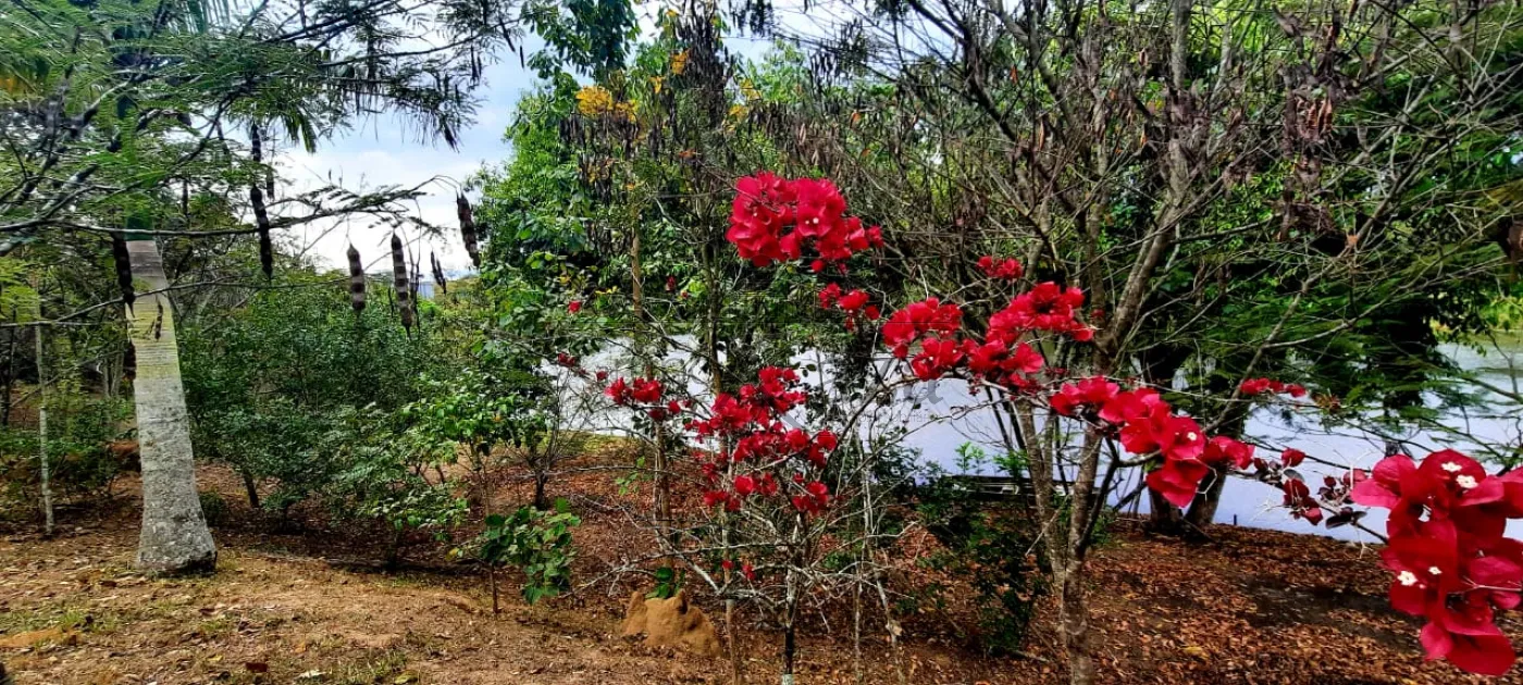 Foto 10 de Terreno Condomínio em Condomínio Bellavittá, Caçapava - imagem 10
