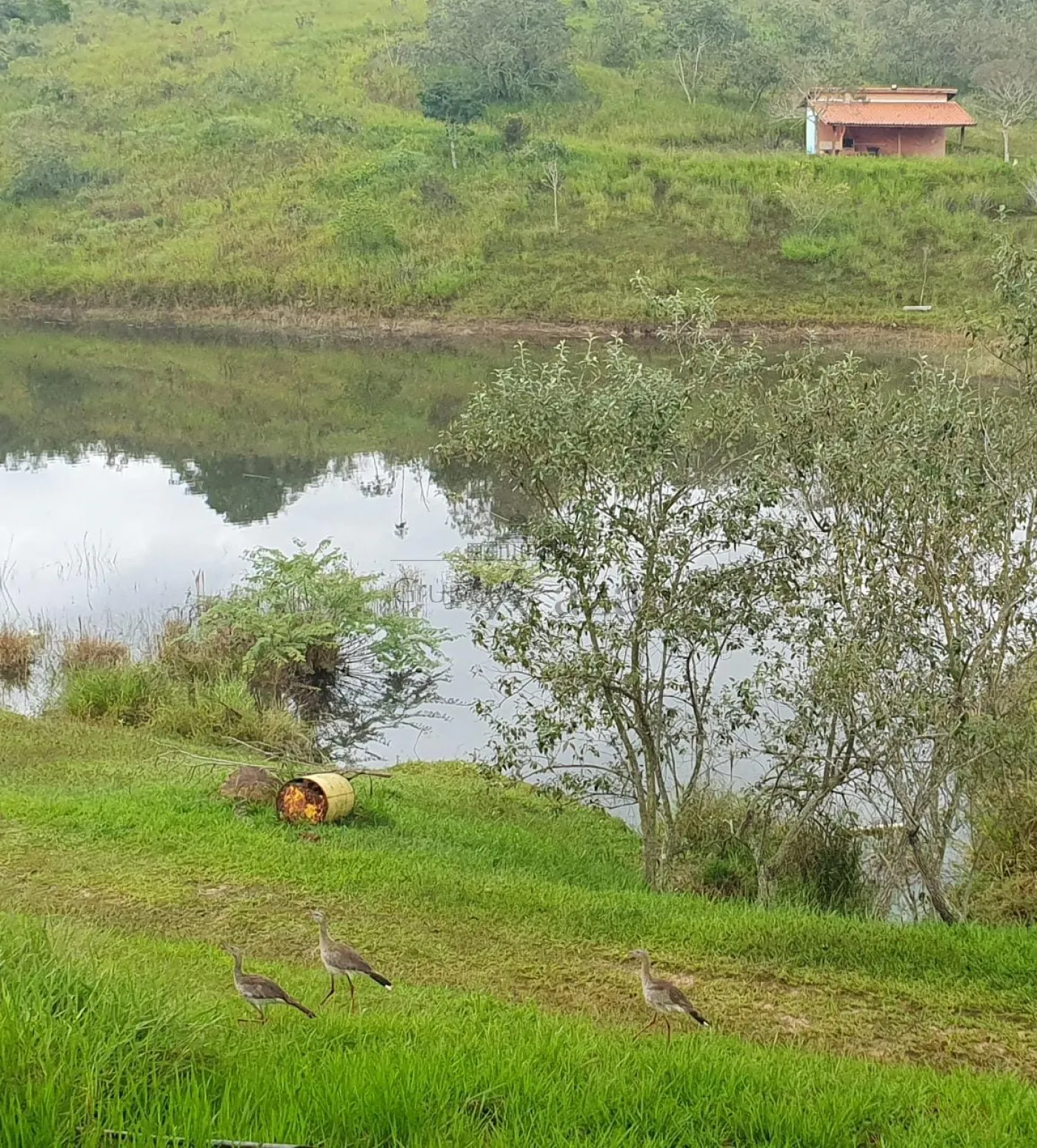 Foto 4 de Terreno Condomínio em Estrada do Tanquinho Chacaras Guararema, Jacareí - imagem 4