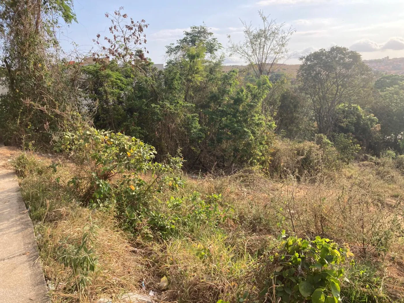 Foto 2 de Terreno Padrão em Chácaras Pousada do Vale, São José dos Campos - imagem 2