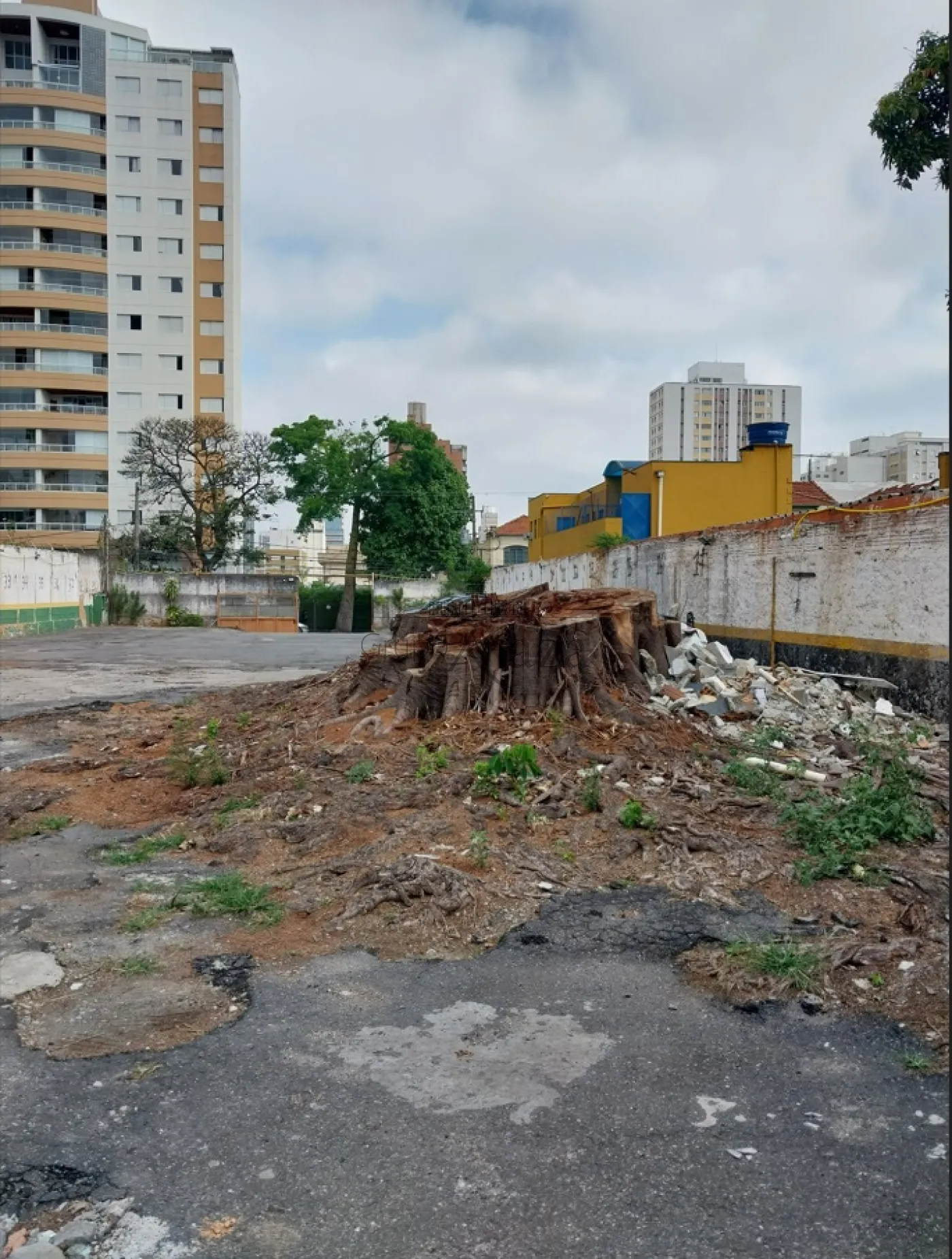 Foto 5 de Terreno Padrão em Vila Clementino, São Paulo - imagem 5
