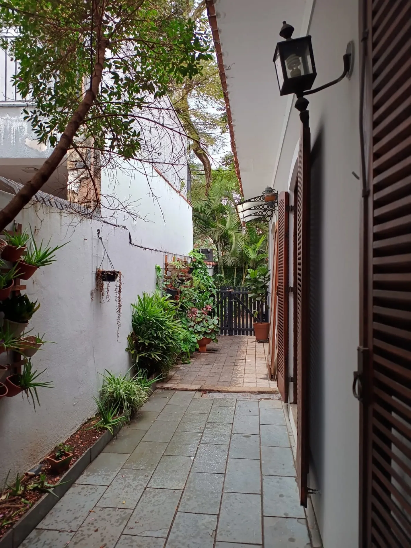 Foto 16 de Casa Térrea em Butantã, São Paulo - imagem 16