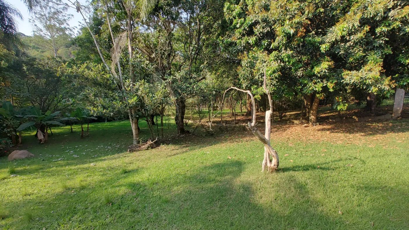Foto 7 de Terreno Padrão em Chácaras Reunidas Igarapés, Jacareí - imagem 7