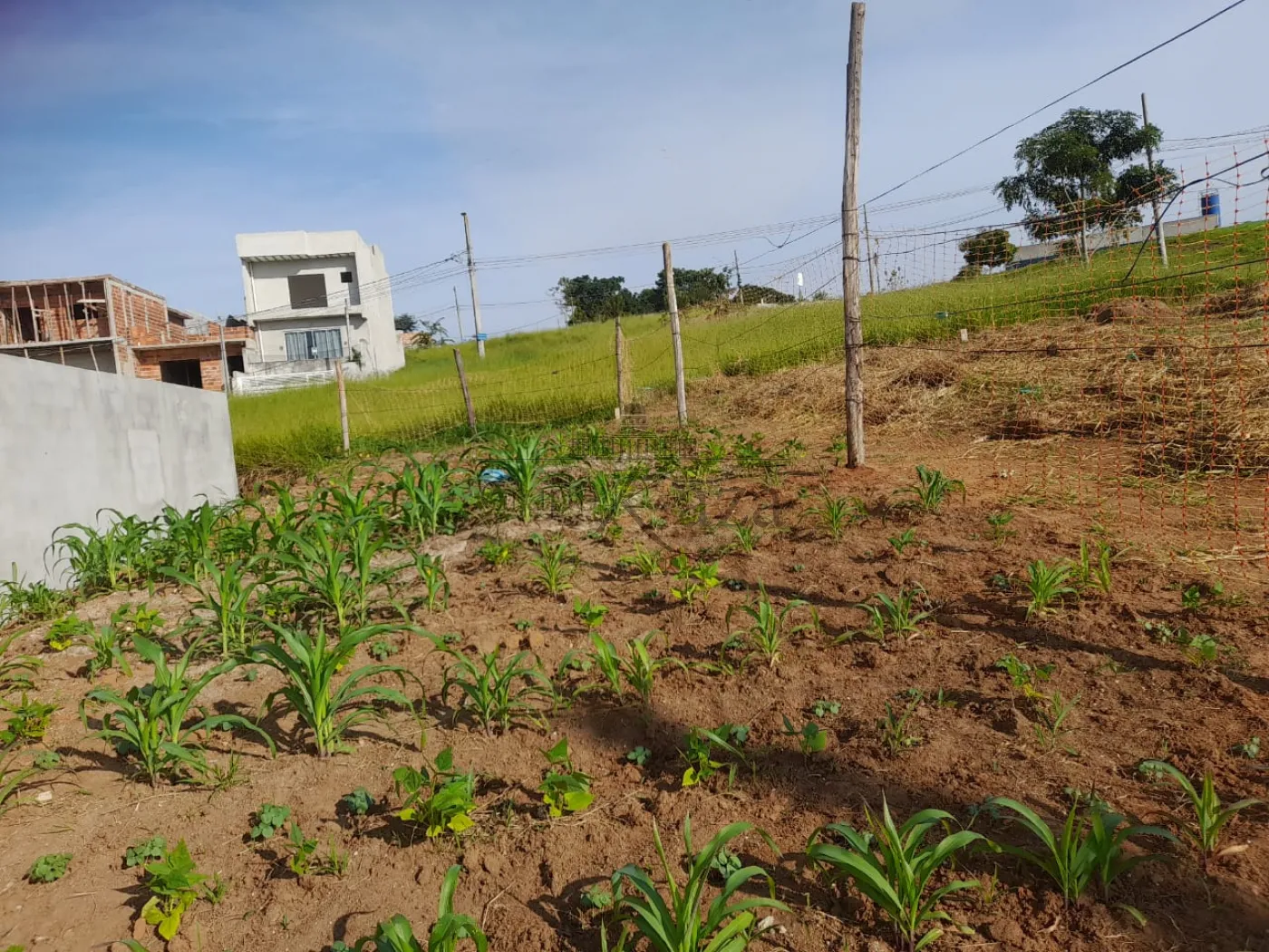 Foto 2 de Terreno Padrão em Residencial Dunamis, São José dos Campos - imagem 2