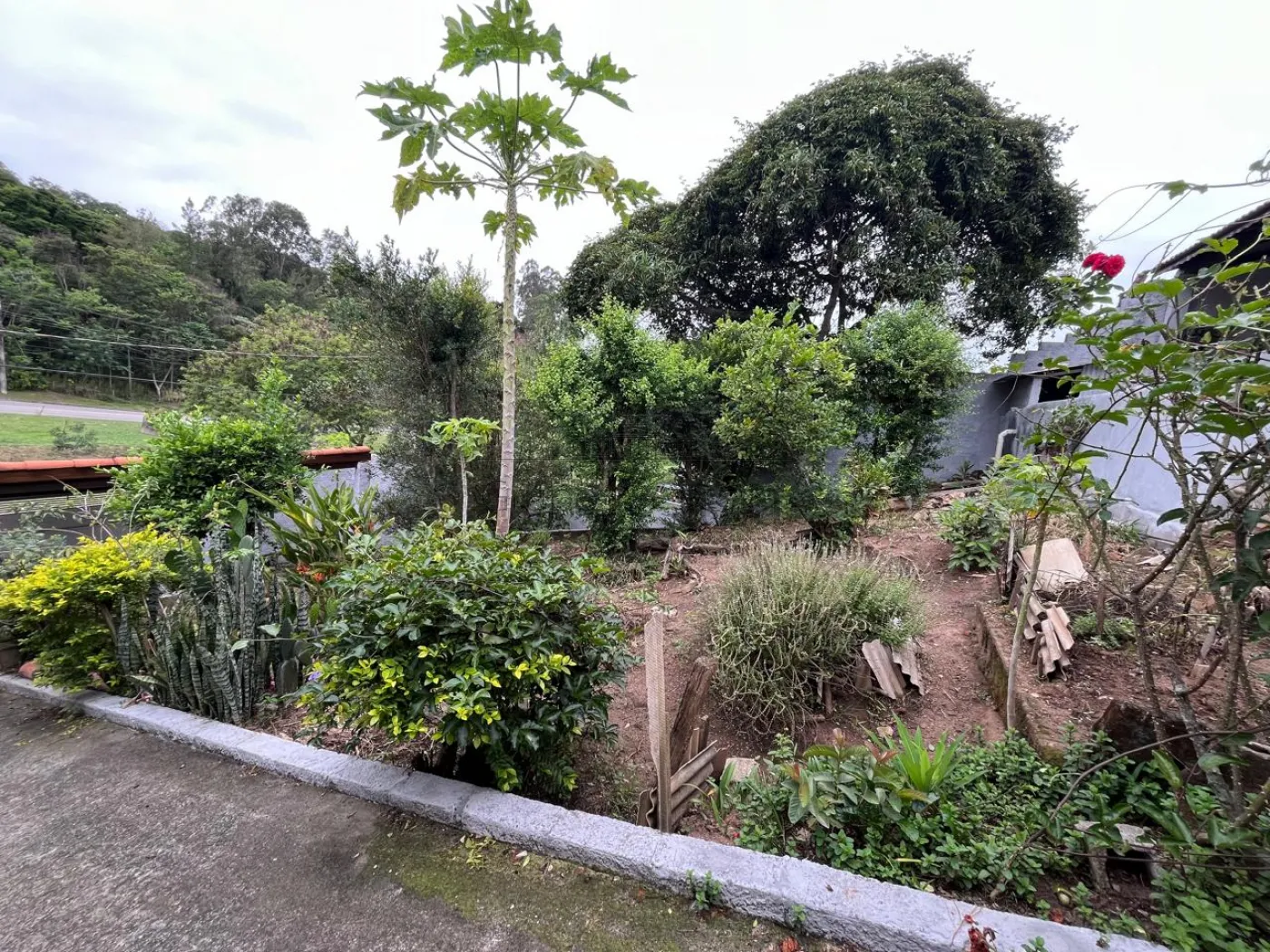 Foto 14 de Casa Edicula em Jardim Maria Amélia, Jacareí - imagem 14