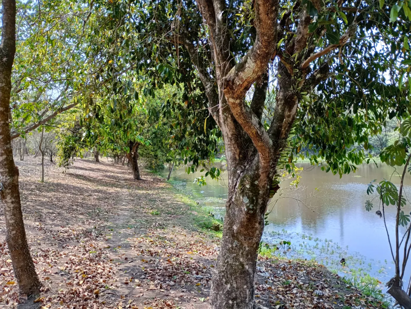 Foto 18 de Terreno Condomínio em Vila Galvão, Caçapava - imagem 18