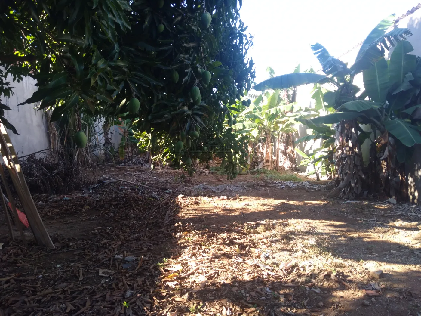 Foto 2 de Terreno Padrão em Jardim Cruzeiro do Sul, São José dos Campos - imagem 2