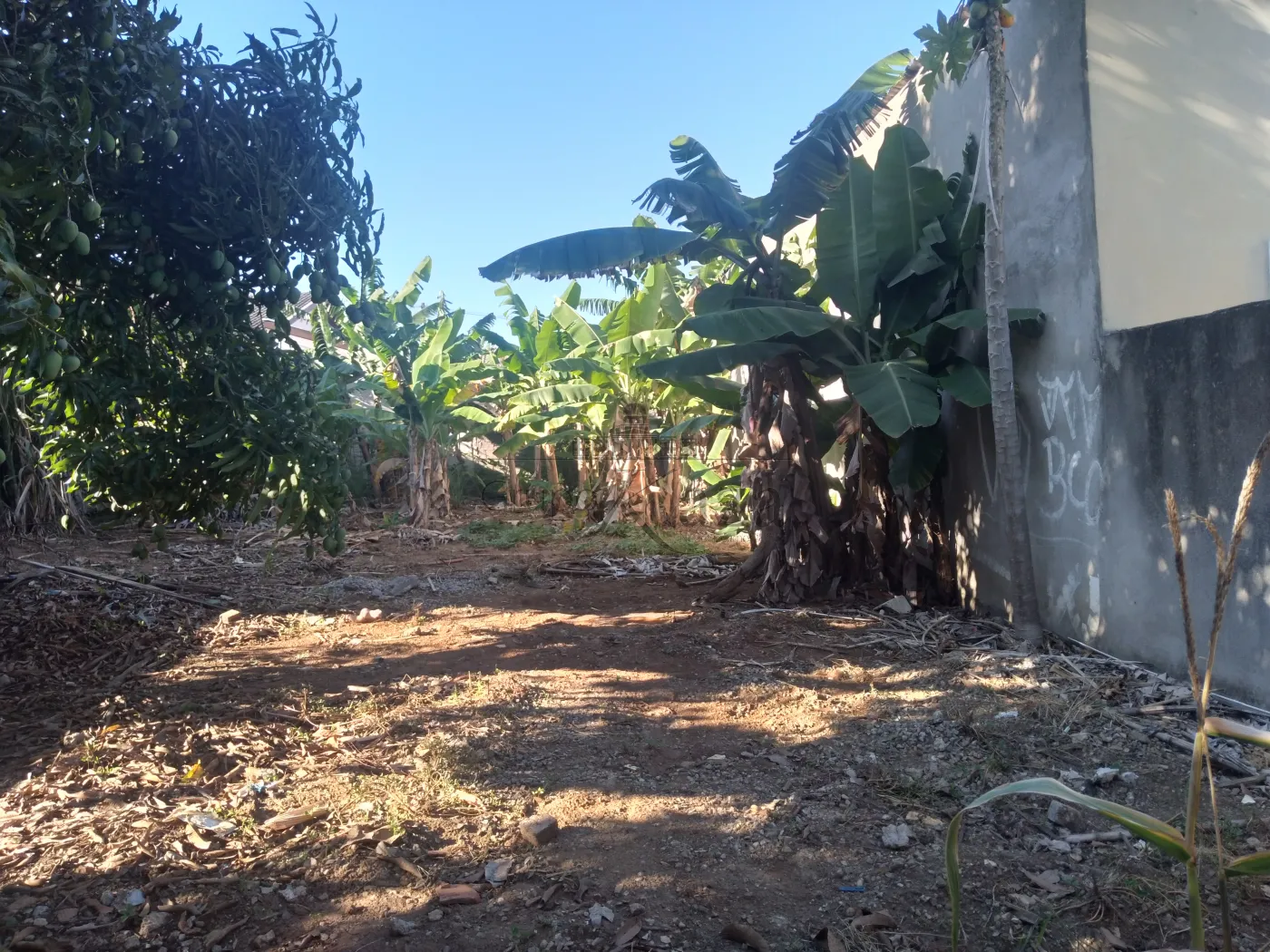 Foto 5 de Terreno Padrão em Jardim Cruzeiro do Sul, São José dos Campos - imagem 5