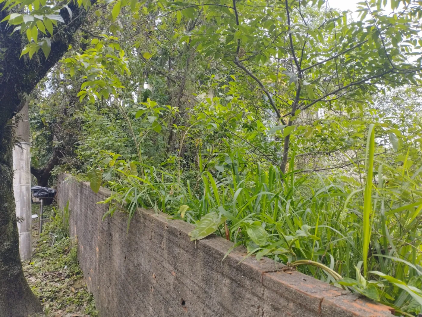 Foto 2 de Terreno Condomínio em Jardim Vitória Régia, São Paulo - imagem 2