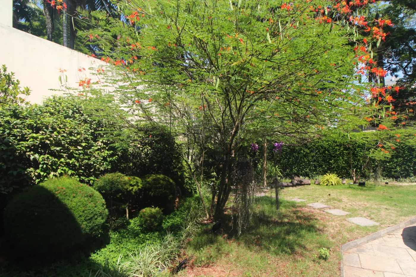Foto 20 de Casa Padrão em Jardim Paulista, São Paulo - imagem 20