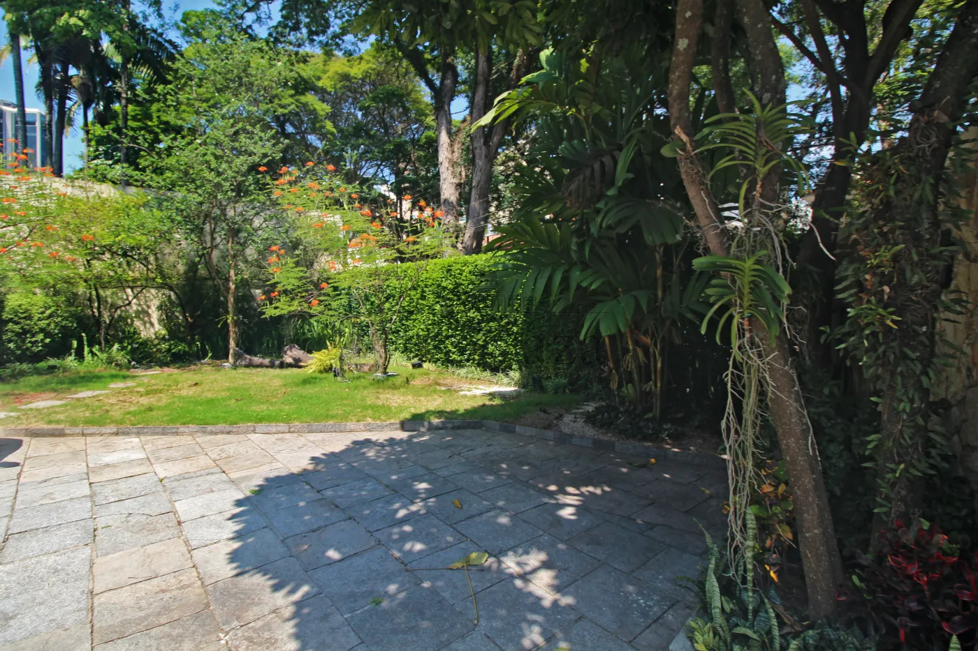 Foto 22 de Casa Padrão em Jardim Paulista, São Paulo - imagem 22