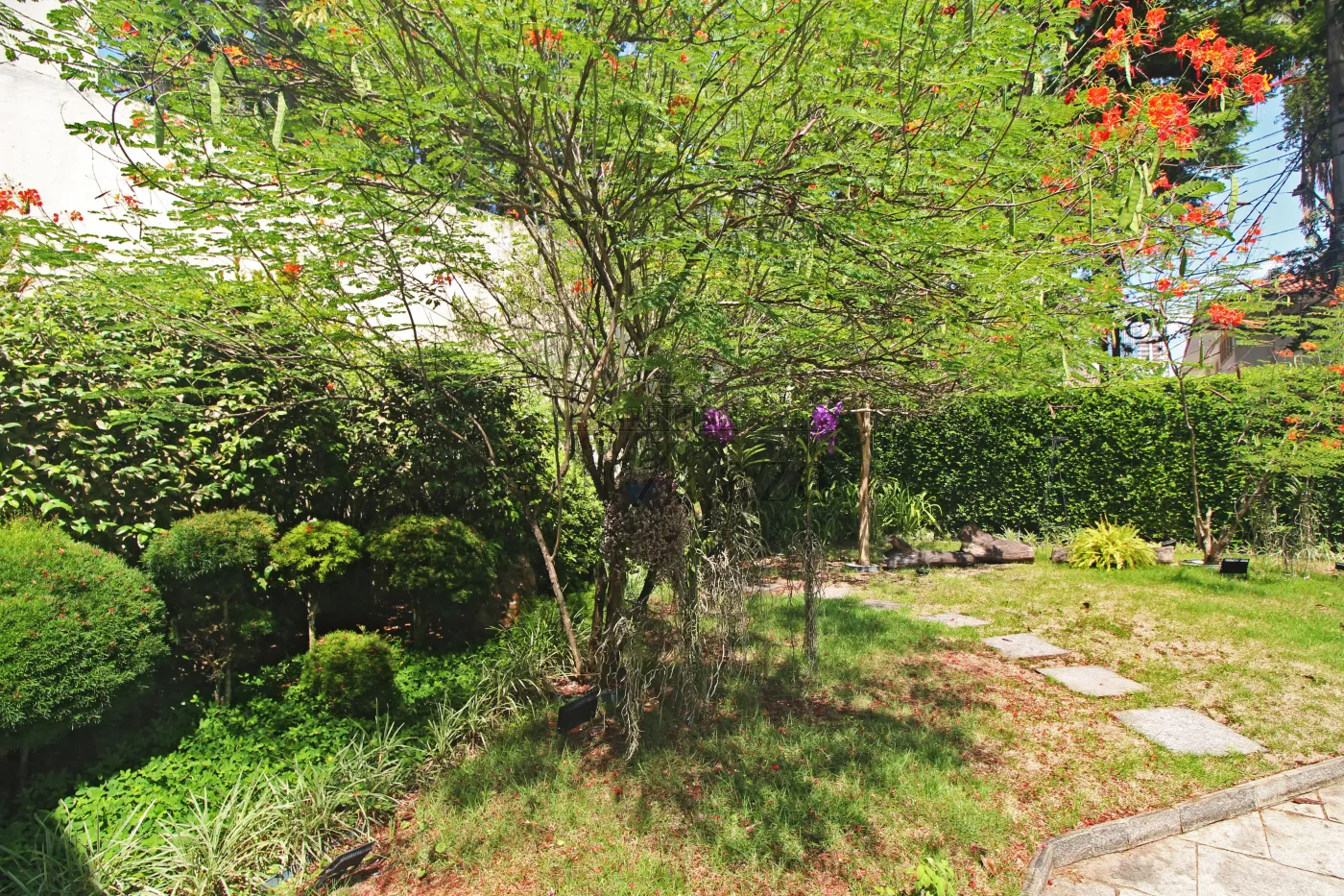 Foto 24 de Casa Padrão em Jardim Paulista, São Paulo - imagem 24