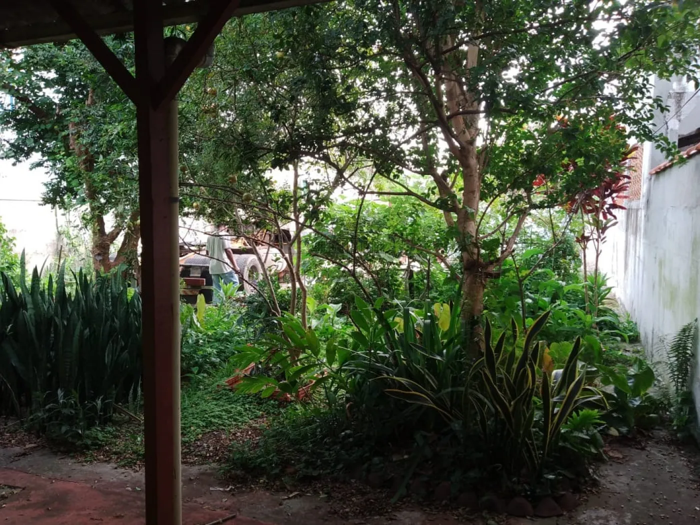 Foto 7 de Casa Edicula em Jardim Anhembi, São José dos Campos - imagem 7