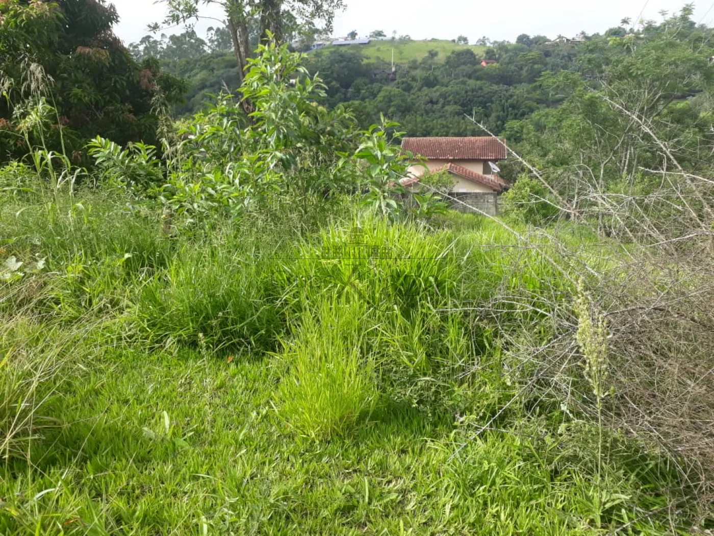 Foto 3 de Rural sem benfeitorias Área sem benfeitorias em Bairro dos Freitas, São José dos Campos - imagem 3