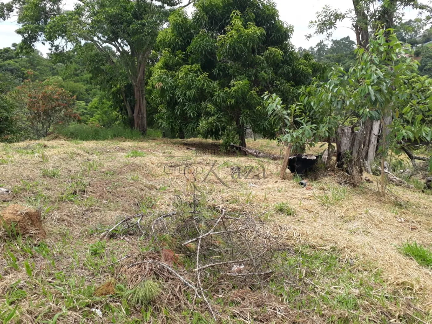 Foto 5 de Rural sem benfeitorias Área sem benfeitorias em Bairro dos Freitas, São José dos Campos - imagem 5