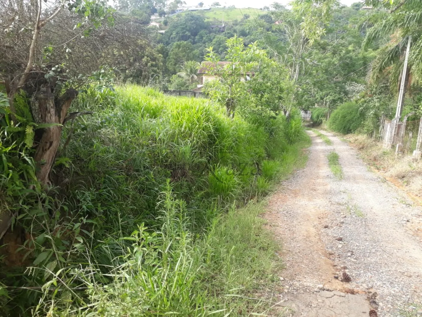 Foto 7 de Rural sem benfeitorias Área sem benfeitorias em Bairro dos Freitas, São José dos Campos - imagem 7