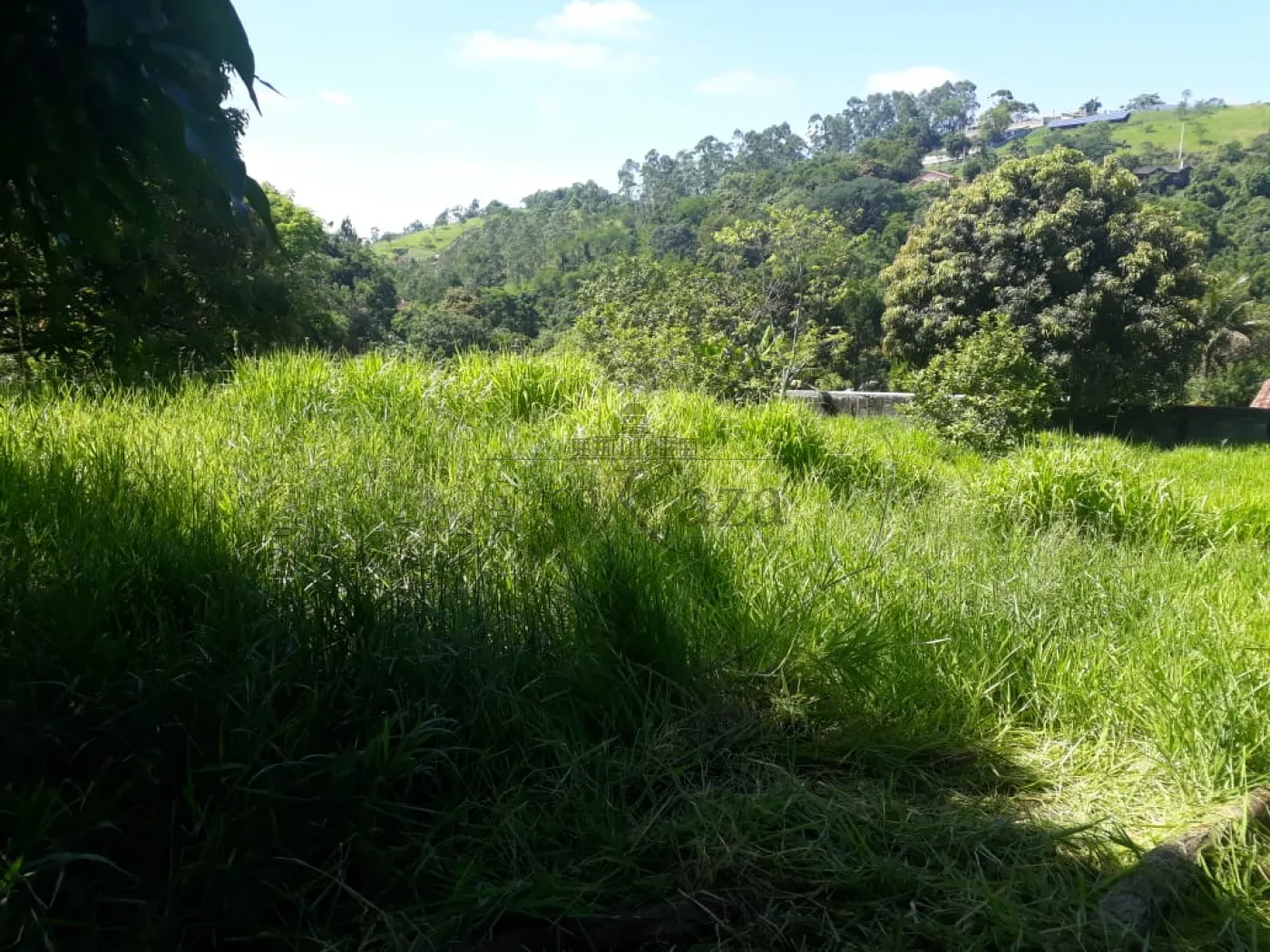 Foto 10 de Rural sem benfeitorias Área sem benfeitorias em Bairro dos Freitas, São José dos Campos - imagem 10