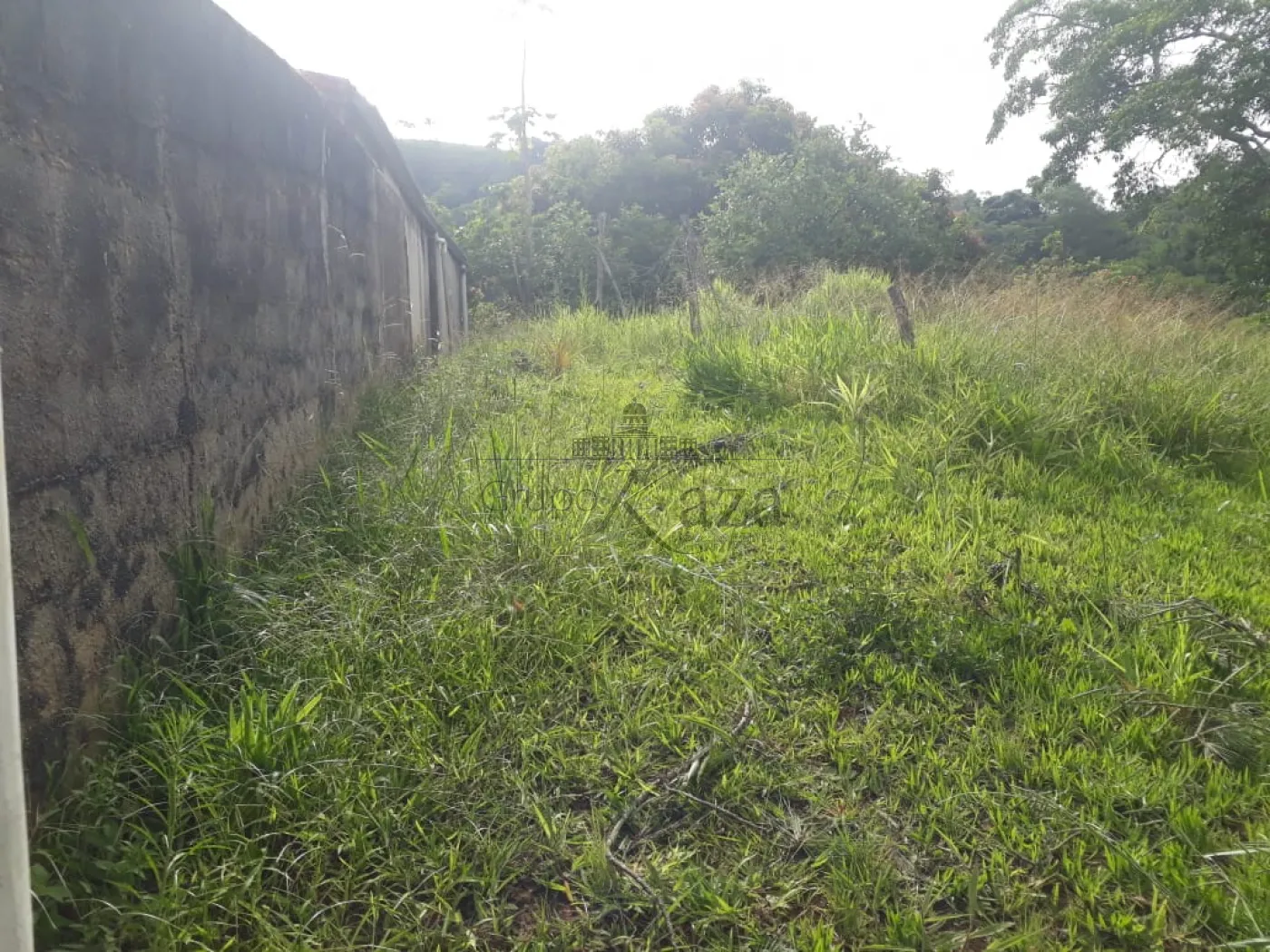 Foto 11 de Rural sem benfeitorias Área sem benfeitorias em Bairro dos Freitas, São José dos Campos - imagem 11