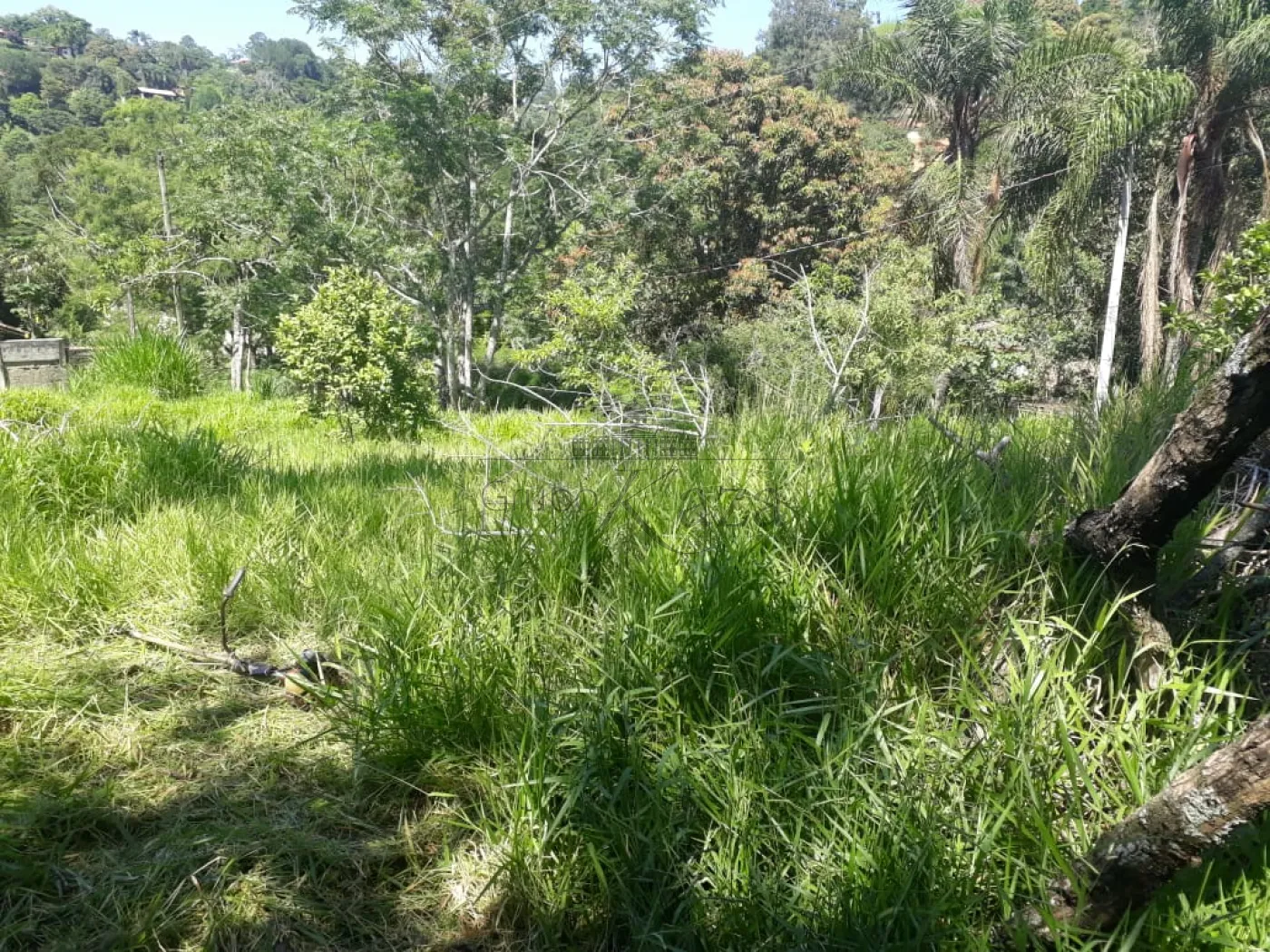 Foto 12 de Rural sem benfeitorias Área sem benfeitorias em Bairro dos Freitas, São José dos Campos - imagem 12