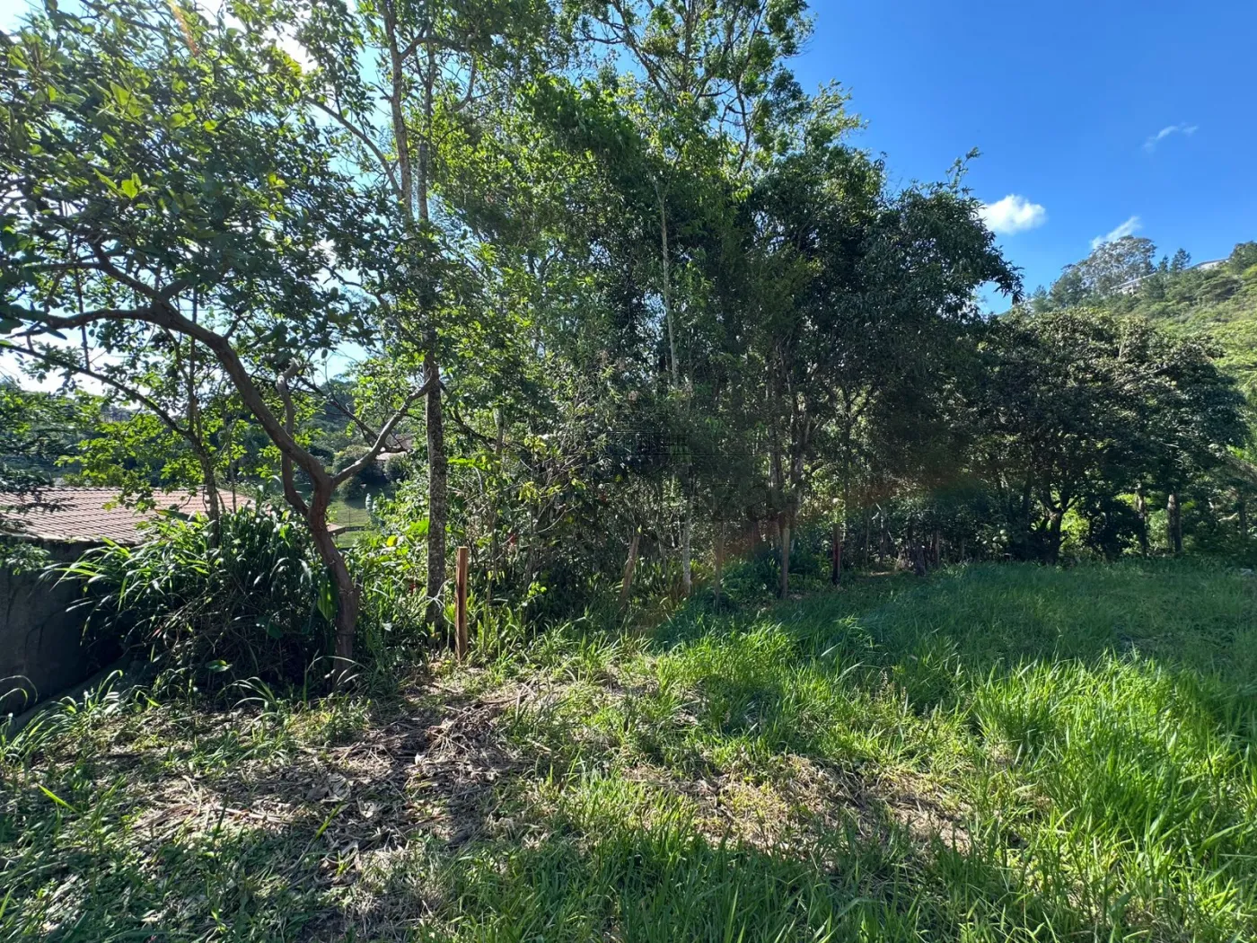 Foto 14 de Rural sem benfeitorias Área sem benfeitorias em Bairro dos Freitas, São José dos Campos - imagem 14