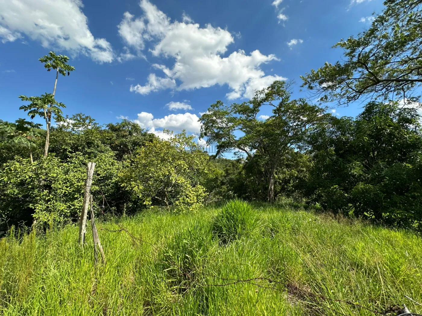 Foto 18 de Rural sem benfeitorias Área sem benfeitorias em Bairro dos Freitas, São José dos Campos - imagem 18