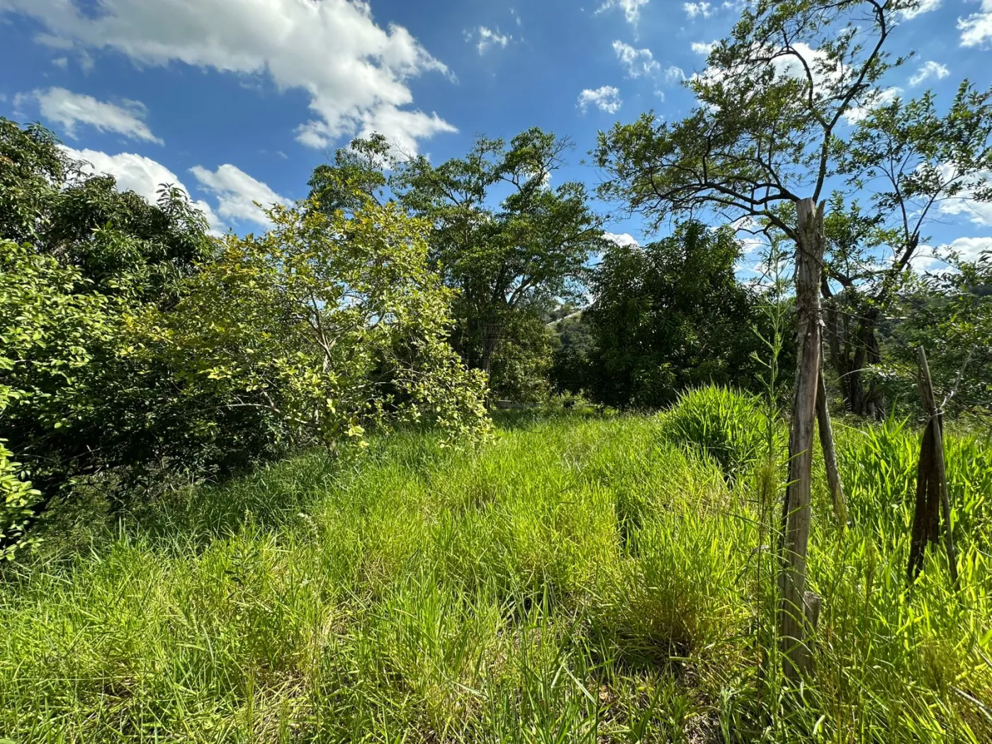 Foto 19 de Rural sem benfeitorias Área sem benfeitorias em Bairro dos Freitas, São José dos Campos - imagem 19