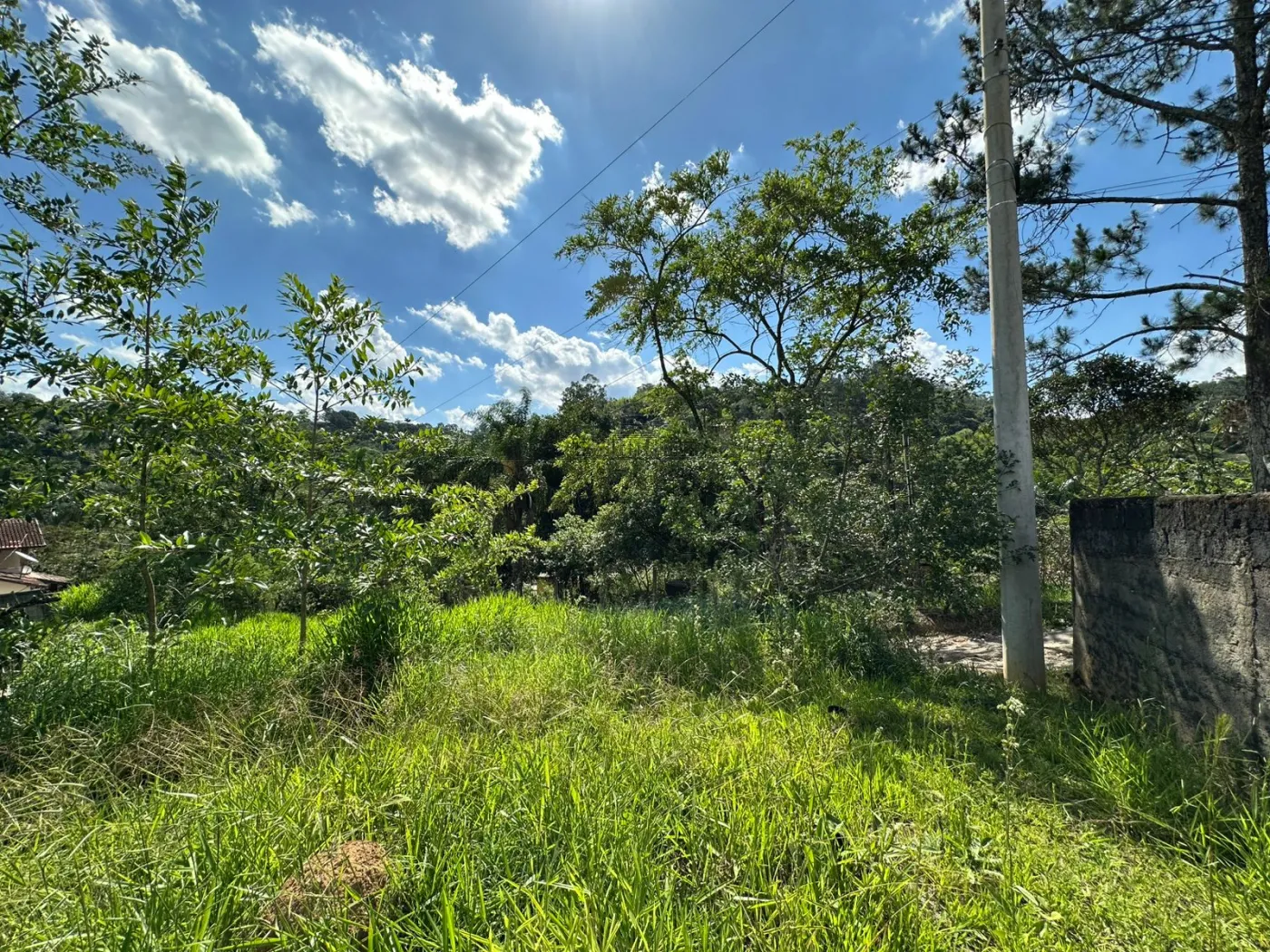 Foto 22 de Rural sem benfeitorias Área sem benfeitorias em Bairro dos Freitas, São José dos Campos - imagem 22