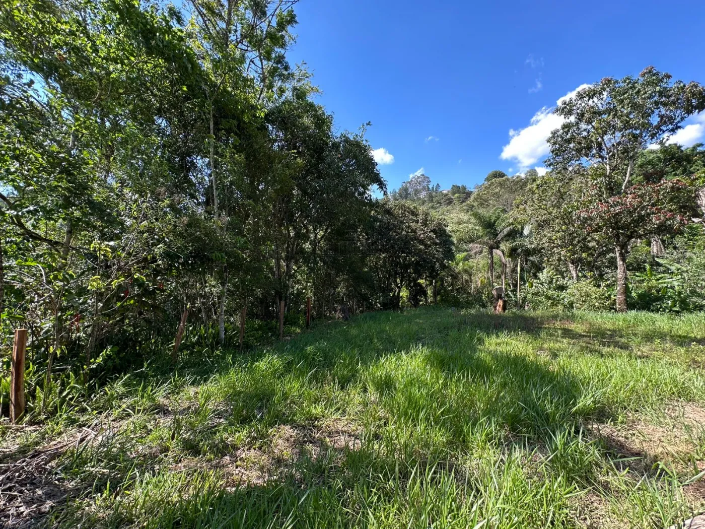 Foto 24 de Rural sem benfeitorias Área sem benfeitorias em Bairro dos Freitas, São José dos Campos - imagem 24