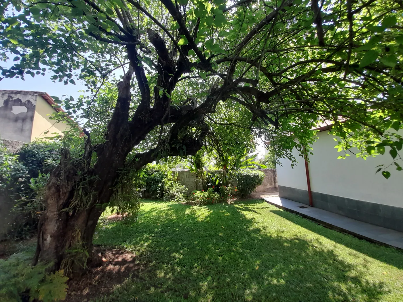 Foto 45 de Casa Padrão em Vila Maria, São José dos Campos - imagem 45