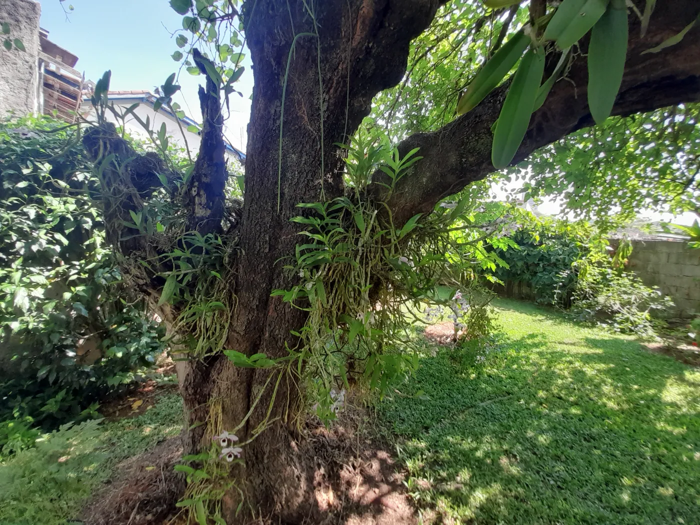 Foto 46 de Casa Padrão em Vila Maria, São José dos Campos - imagem 46