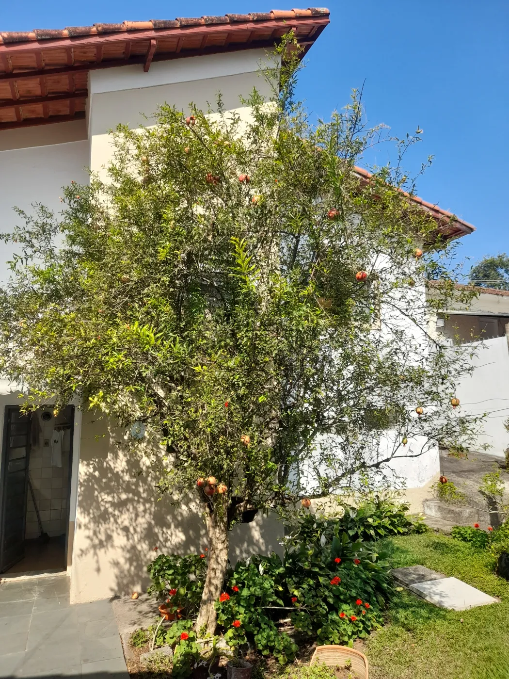 Foto 48 de Casa Padrão em Vila Maria, São José dos Campos - imagem 48