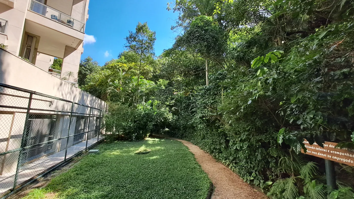 Foto 42 de Apartamento Padrão em Panamby, São Paulo - imagem 42