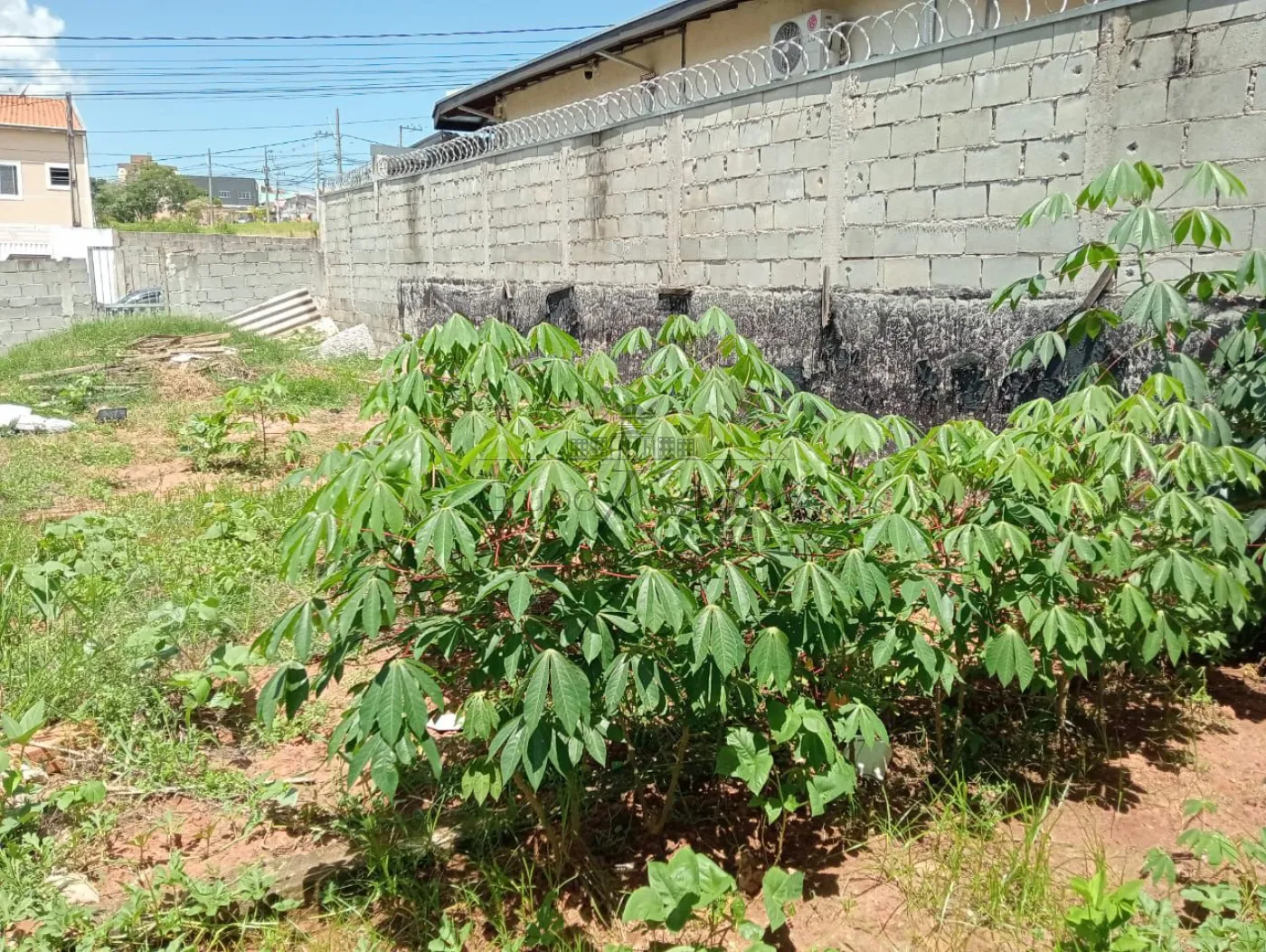 Foto 7 de Terreno Padrão em Jardim Santa Rosa, São José dos Campos - imagem 7